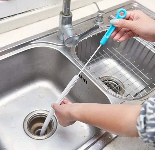 Call an Expert Get Rid of Drain Flies