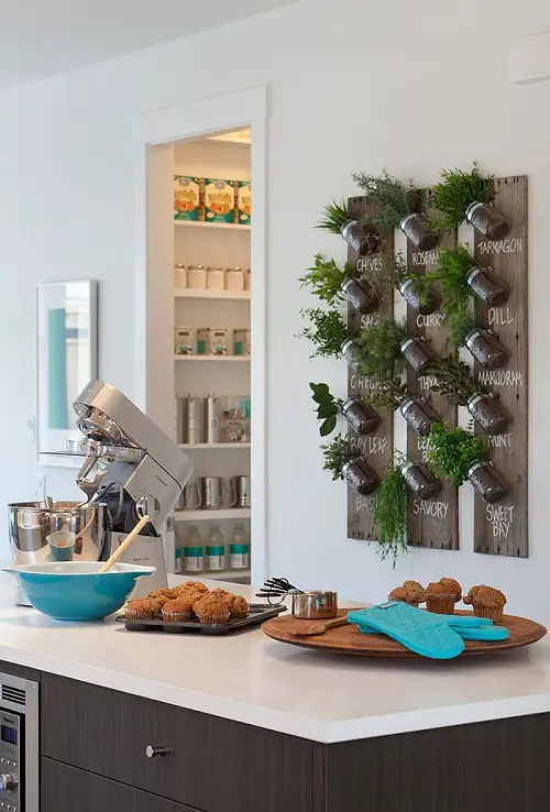 Rules for Decorating with Houseplants Place Edible Plants in Kitchen