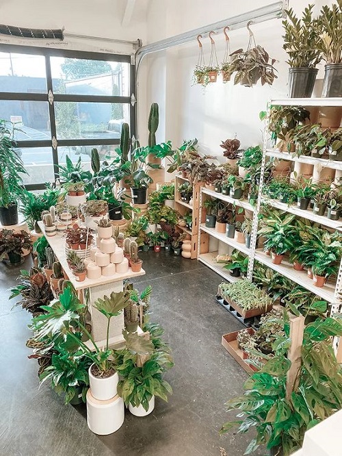 Greenhouse Shelving A Large Backyard Greenhouse
