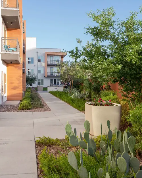 Cactus Corner Lined with a Stone Pathway
