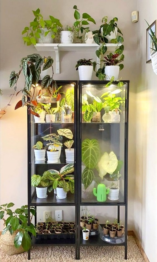 IKEA Greenhouse