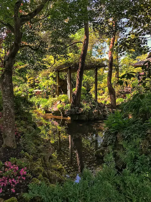 Make an Urban Forest in garden
