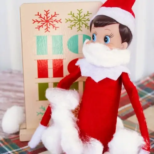 Elf Covered in Snow