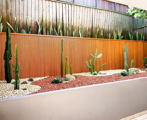 Side Yard Desert Landscaping Ideas Snake Plants and Cacti Flower Bed