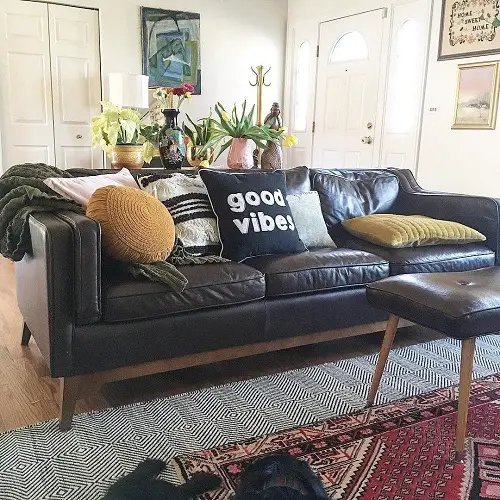 Vases full of Plants near couch
