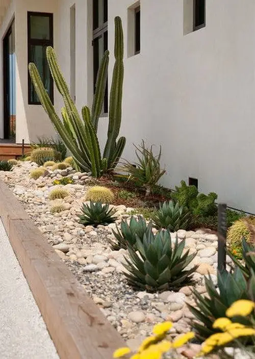 Side Yard Desert Landscaping Ideas 
