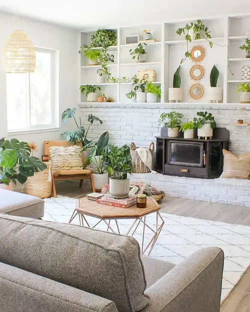 Ways to Decorate with Indoor Plants A Green Living Area