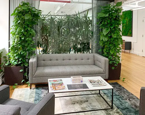 Plant Wall near couch