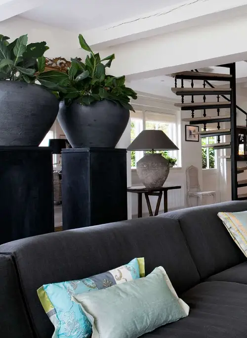 Plants Behind the Couch Ideas