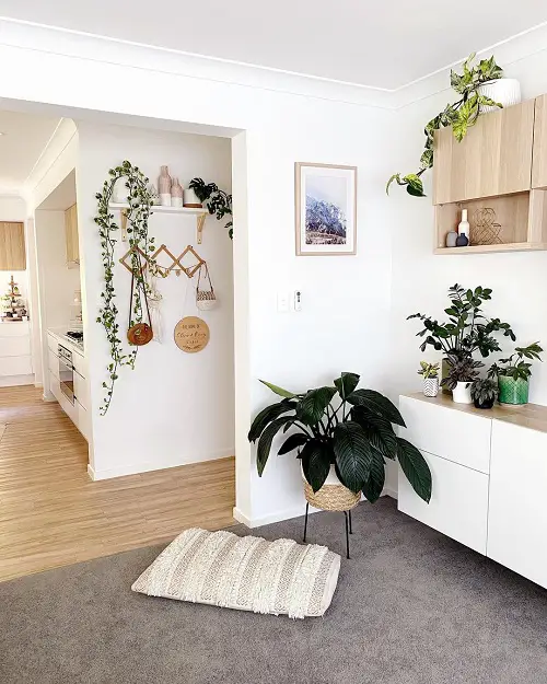 Scale is Important Rules for Decorating with Houseplants