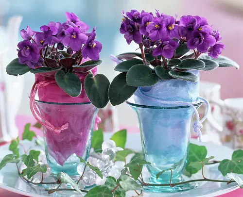 lovely Plant Cuttings for Interior Vases That Look Good
