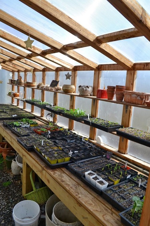 Transparent Greenhouse