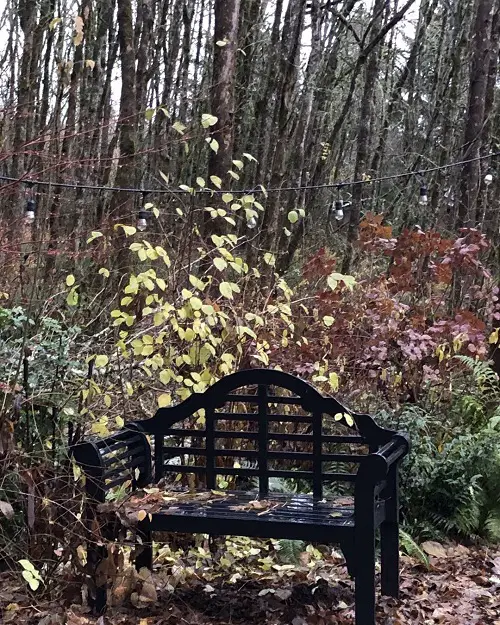 Bench with a Hut Shaped Backrest