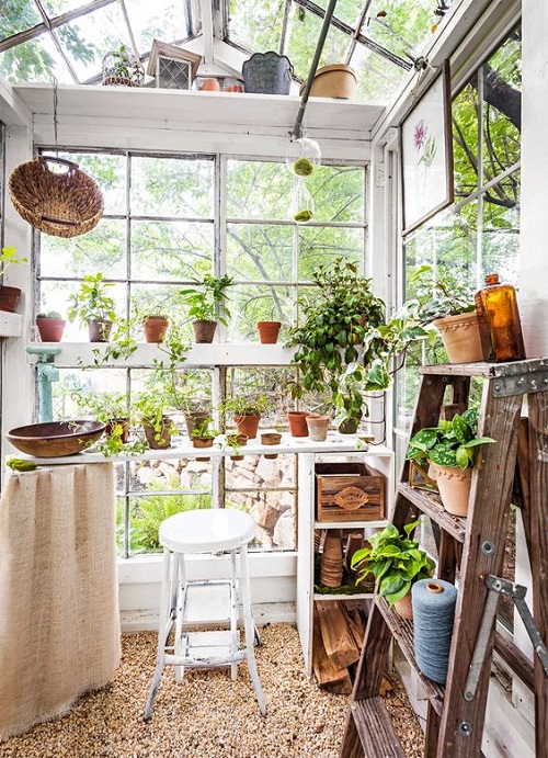 Greenhouse Shelving Ideas Ladder and Shelves