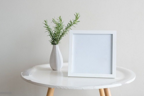 beautiful Plant Cuttings for Interior Vases That Look Good