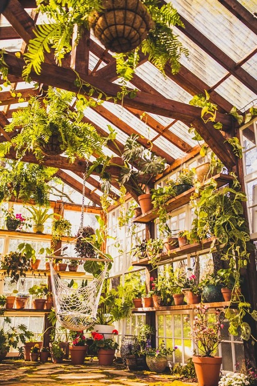 Floating Shelves in the Greenhouse