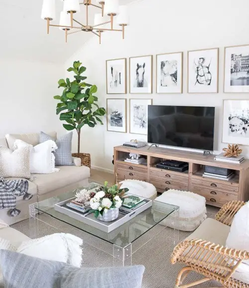 best Tall Plants for Visionsfor a Living Room Corner