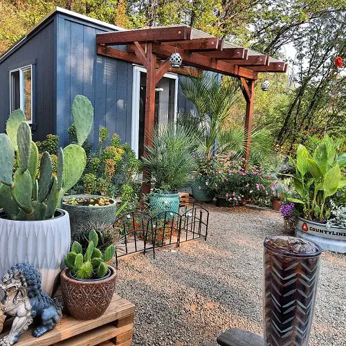 Side Yard Desert Landscaping Ideas Huge Planters with Succulent Varieties