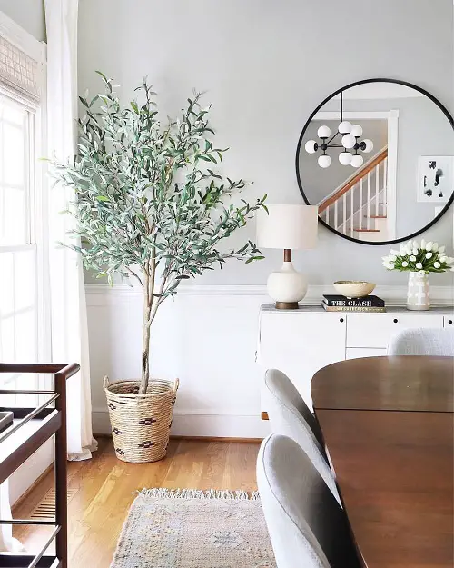 Idea for a Living Room Corner with Tall Plants