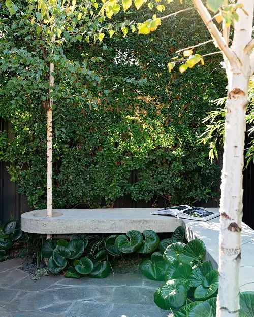 Stone Bench with Holes for Trees