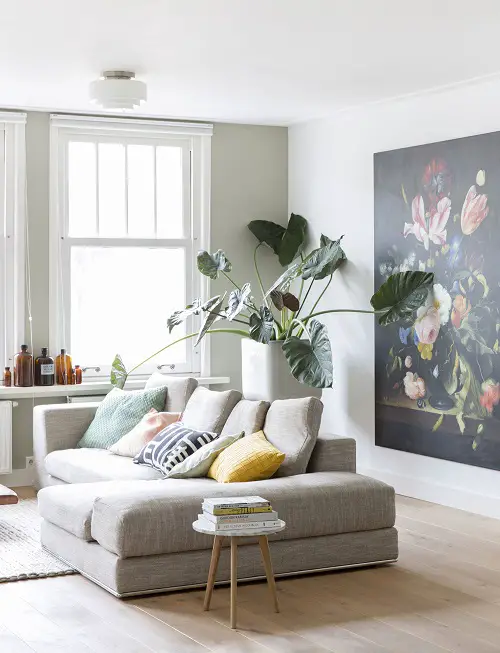A Tall Large Leafed Plant for room decore