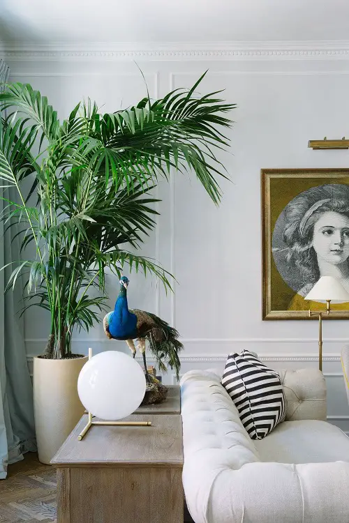 best Idea for a Living Room Corner with Tall Plants

