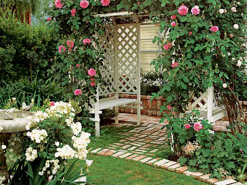 Backyard Can Be the Best Hang Out Place