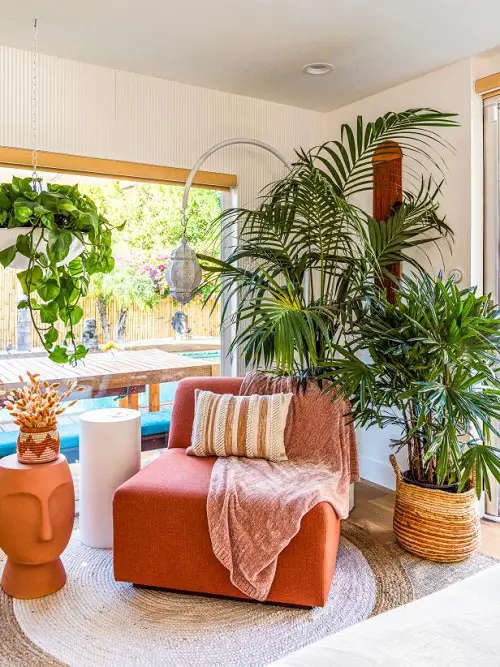 Ways to Decorate with Indoor Plants Tropical Couch Idea