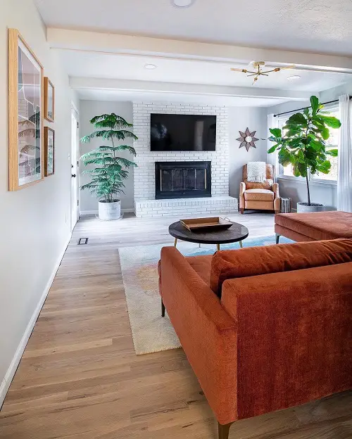 Amazing Idea for a Living Room Corner with Tall Plants