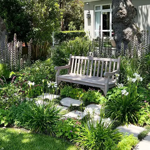 Wooden Bench Surrounded by Foliage