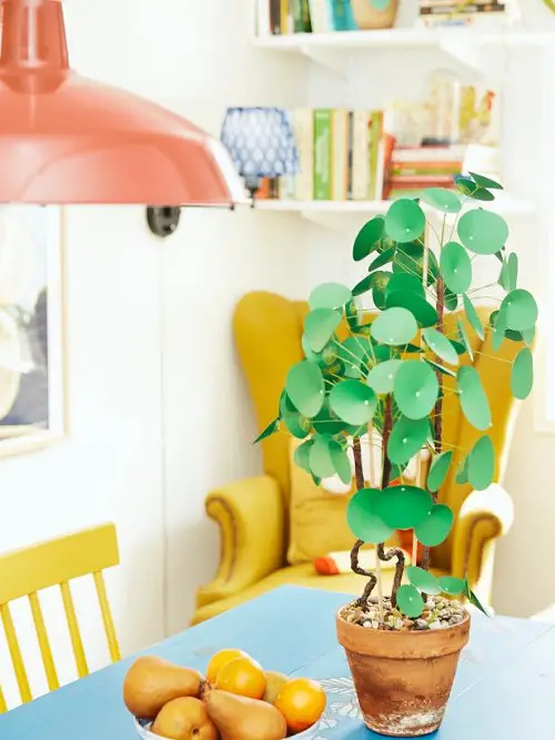 Try a Fake One plant in room decore