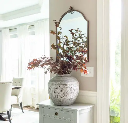 Plant Cuttings that Look Good in Vases