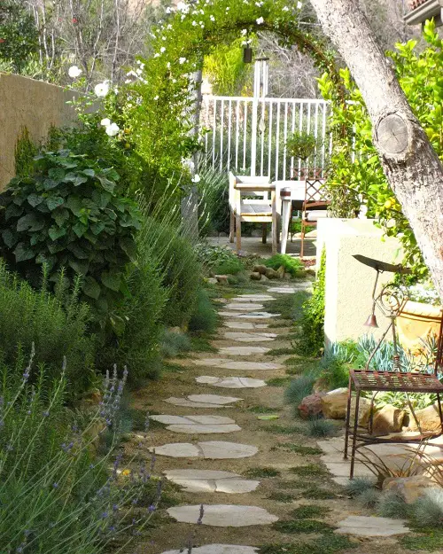 Shrubs with a Tall Tree