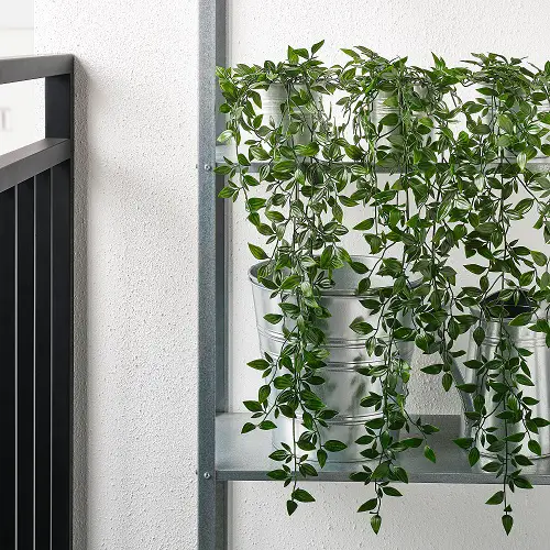 Free Plant Tricks to Improve Your Green Thumb 30