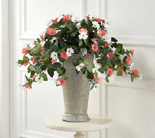 beautiful indoor Plant Cuttings for Interior Vases That Look Good