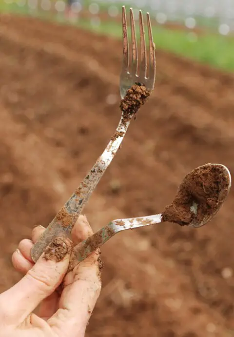 Use Forks to Till the Soil in Small Pots
