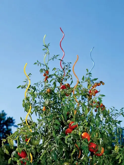 Use Forks to Till the Soil in Small Pots