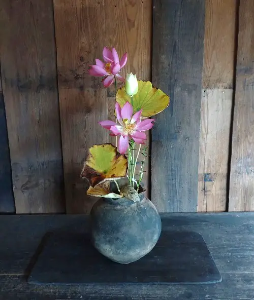 Vase-Appealing Indoor Plant Cuttings