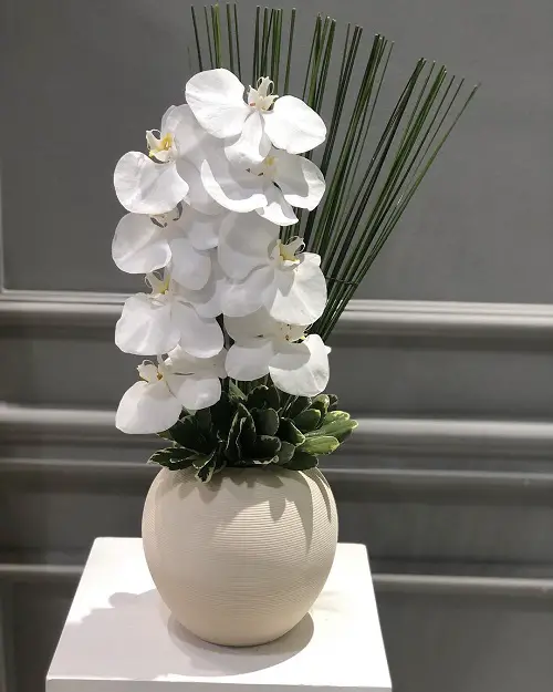 best Vase-Appealing Indoor Plant Cuttings