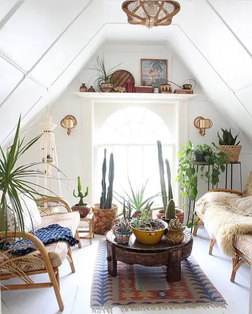 Succulent Mix in decore room