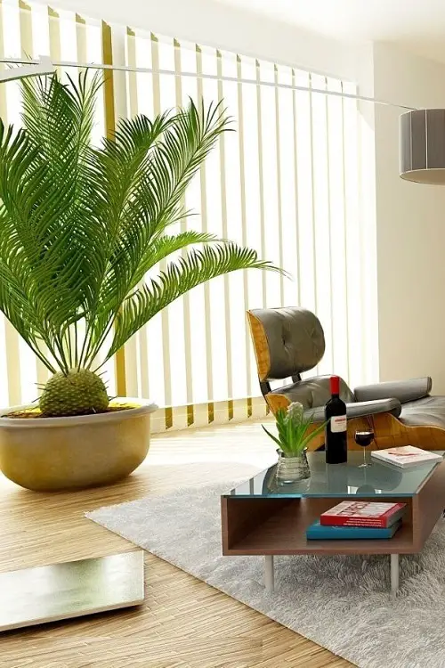 best Tall Plants for Living Room Corner Ideas