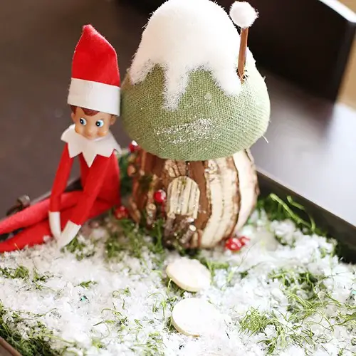 Elf with a Snowy Home