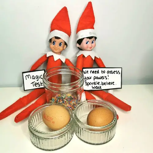 Elf Friends with a Magic Test