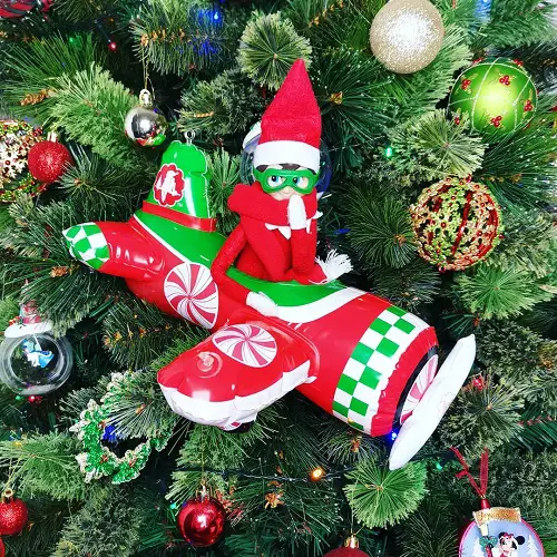 Elf Pilot in garden