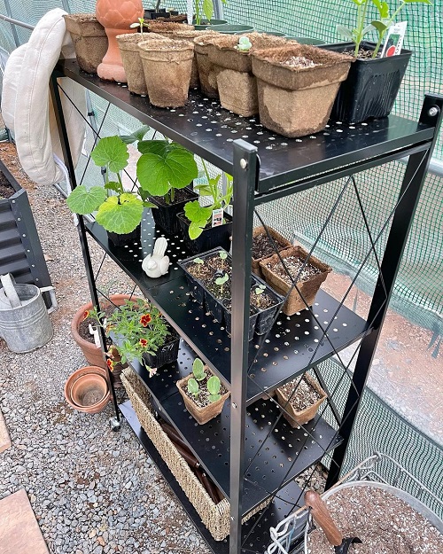 Folding Greenhouse Shelving on Wheels