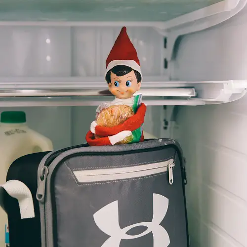 Elf in the Fridge