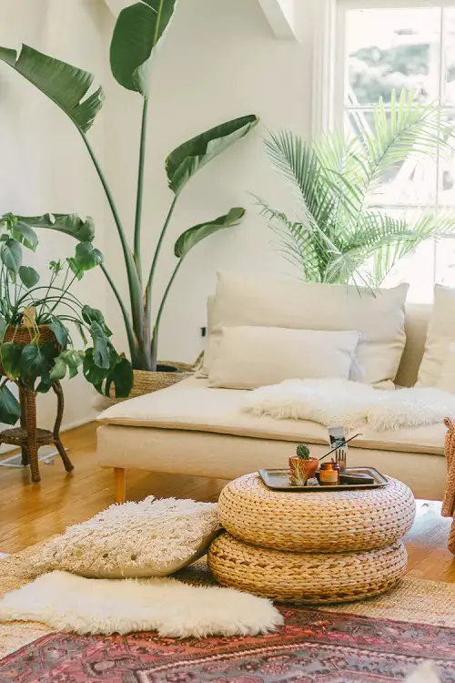Amazing Tall Plants for Living Room Corner Ideas