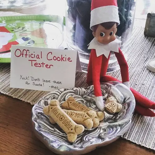 Elf with Cookie Platter