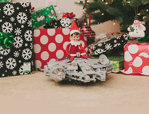 Elf aboard the Millennium Falcon