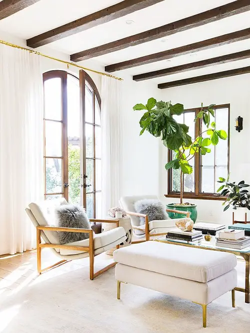 beautiful Tall Plants for Living Room Corner Ideas 5